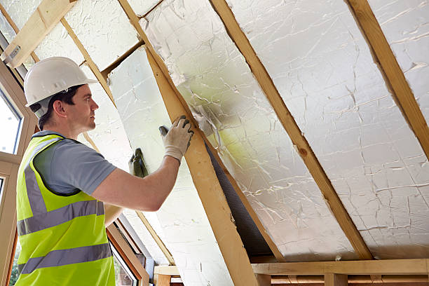 Best Eco-Friendly Insulation in Ohkay Owingeh, NM